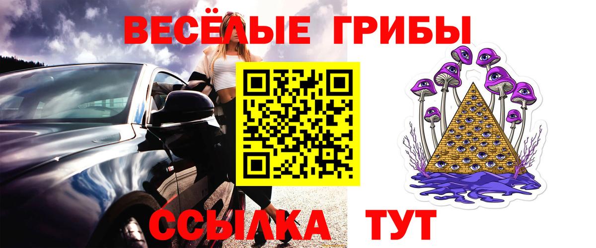 Псилоцибиновые грибы Psilocybe Советская Гавань